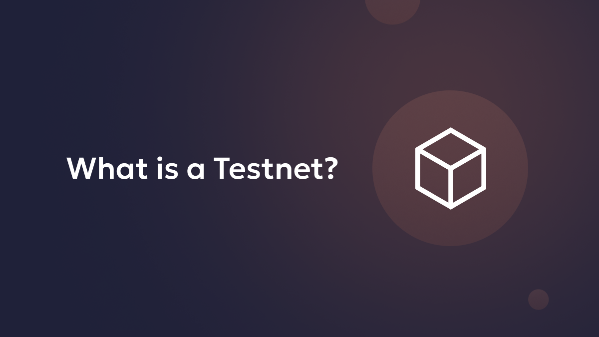 What Is A Testnet? Crypto Blockchain Testnets Explained